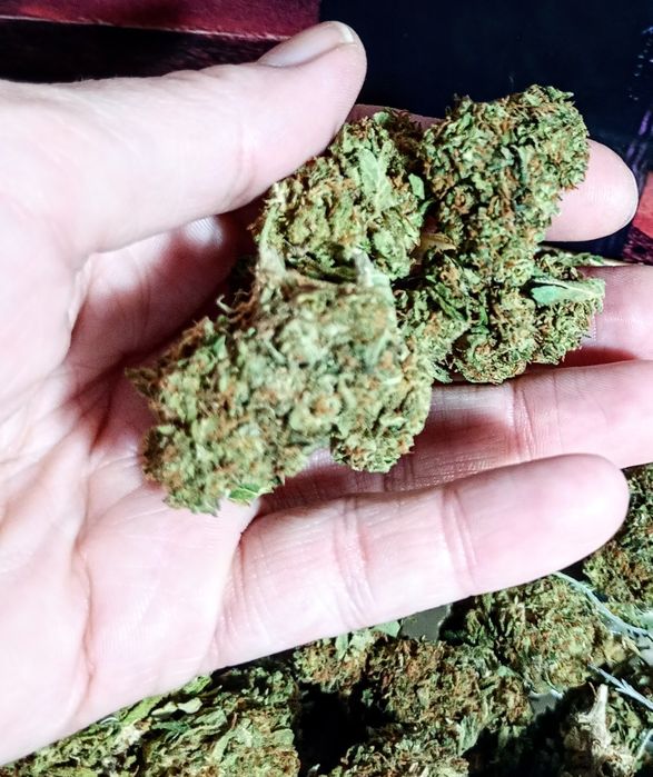 3g ROYAL SKYWALKER Susz Roślinny cbt cbl cbc Lot w kosmos! Działa !