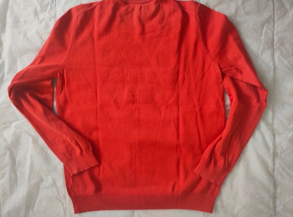 Camisola da Lion of Porches 13/14 anos