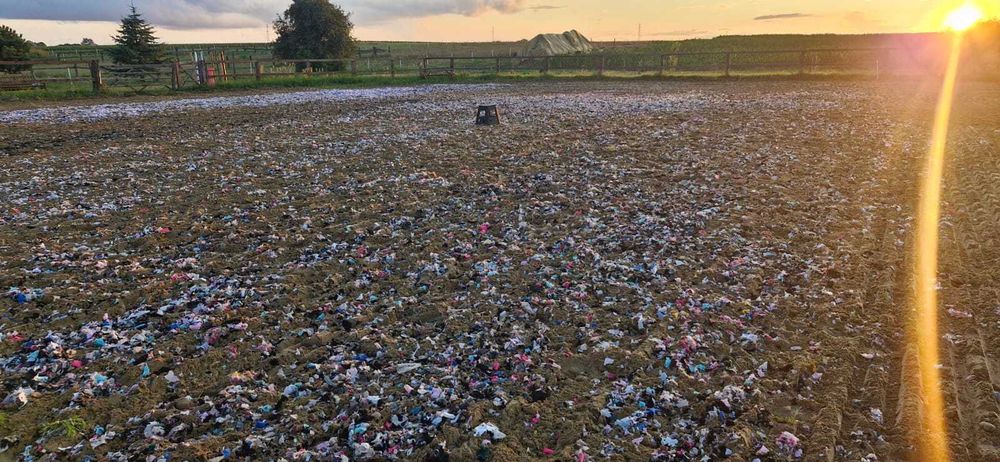 Podłoże jeździeckie na padok dla koni. Flizelina (białe,kolor,filc)