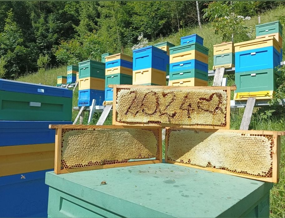 Miod spadziowy z własnej pasieki polecam prezent upominek