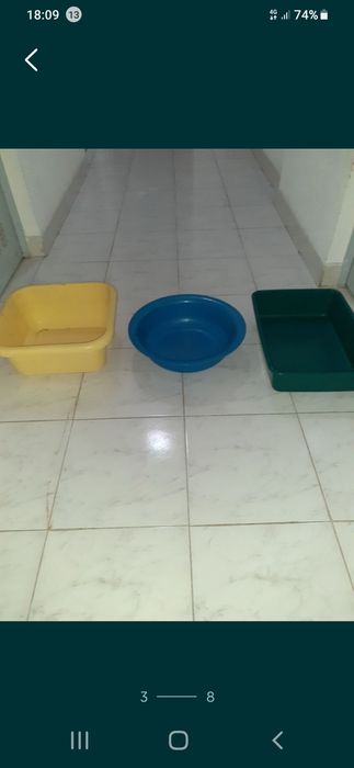 Tabuleiro para WC de gatos e vários alguidares em plástico*