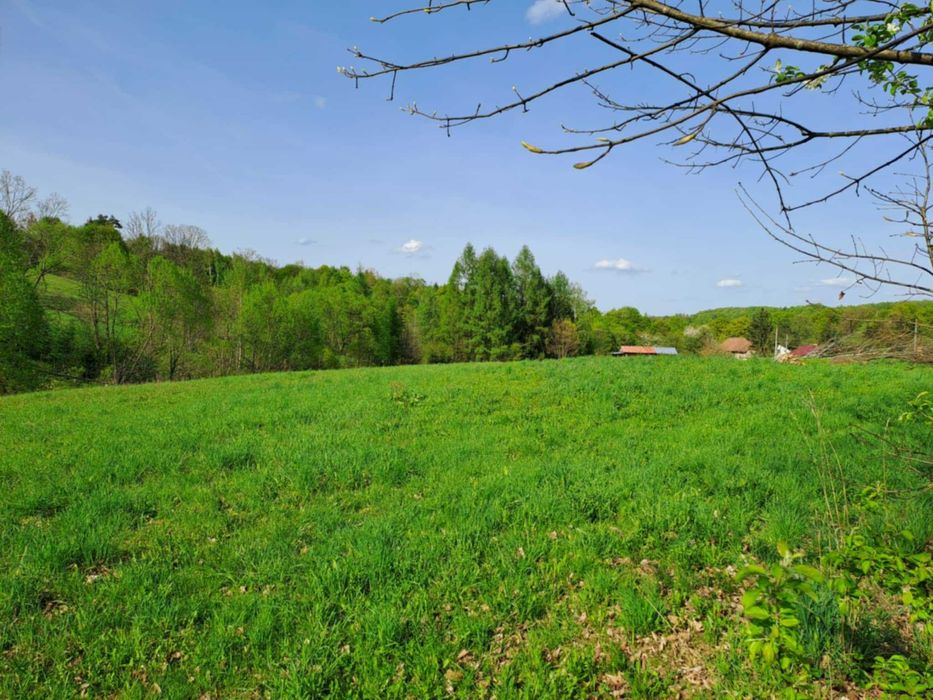 Działka w Bieszczadach na sprzedaż