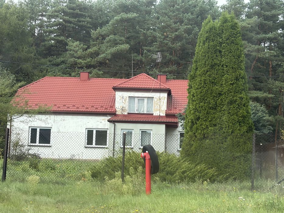 Zdjęcie 4