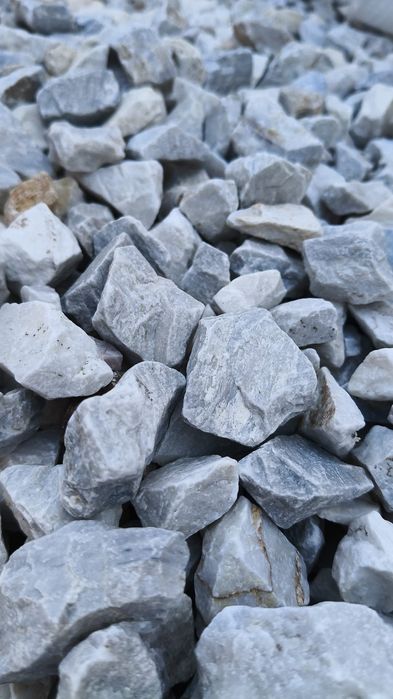 Grys Granitowy Dalmatyńczyk