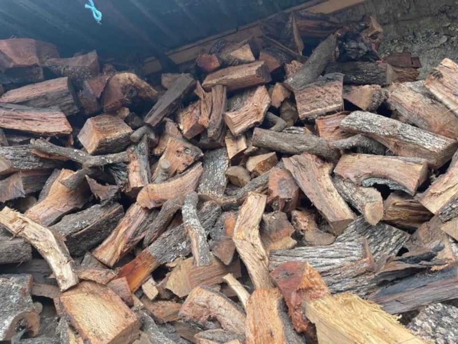 Vários tipos de lenha seca