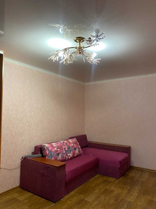 Здам 1 кімн, Центр, Гарний стан, ВІЛЬНА, можливо з ТВАРИНОЮ