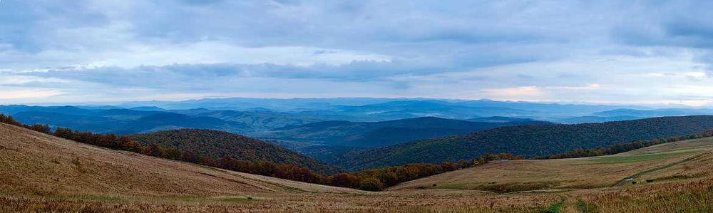 Земельна ділянка в Карпатах с.Верхнє Гусне