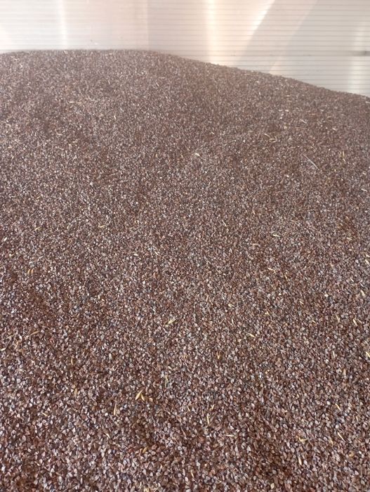 Gryka zbiór 2025 ekologiczna