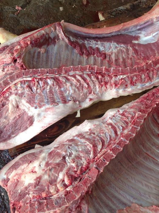 Продам тушу свині