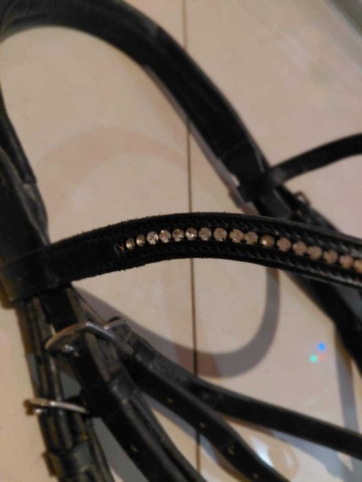 Ogłowie  w rozmiarze XFULL