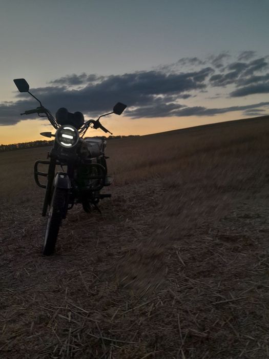 Мустанг альфа ..