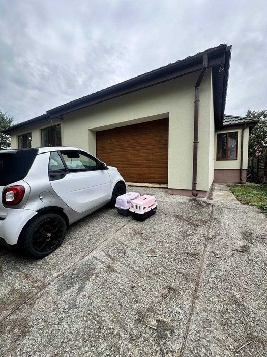 Одноповерховий з ремонтом на 6 сотках - гарне планування