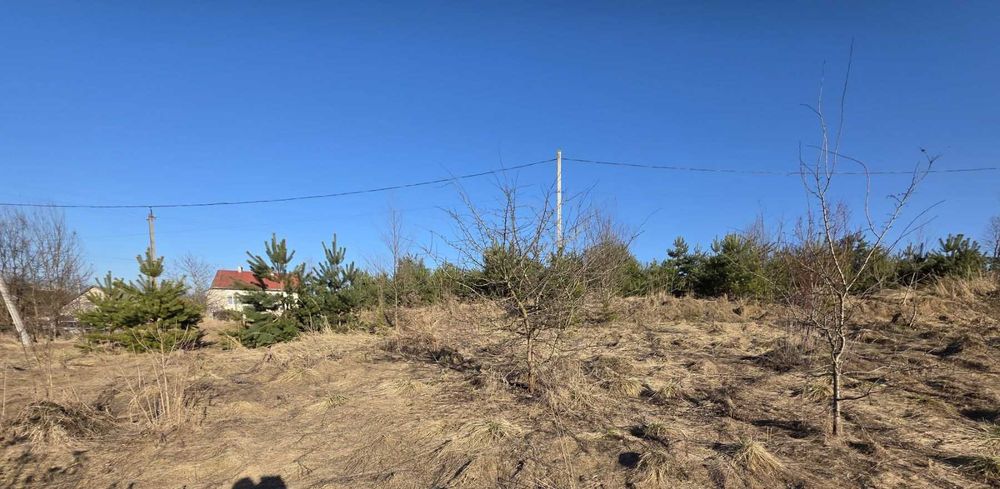 Ділянка с. Давидів під будівництво біля лісу 20 соток