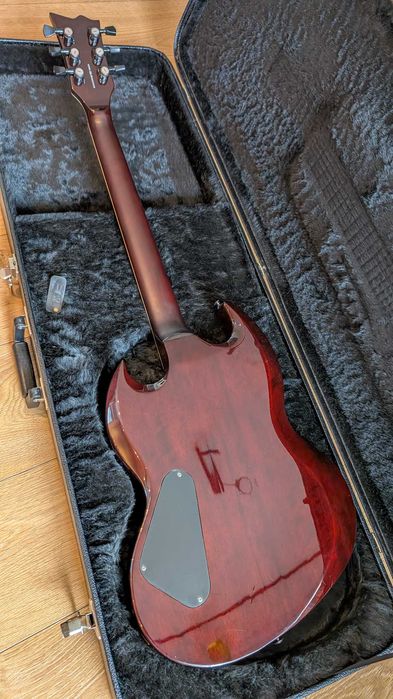 ESP LTD Viper 301 + case ESP