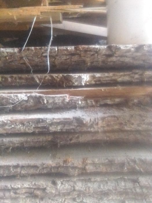 Продам доску дуб