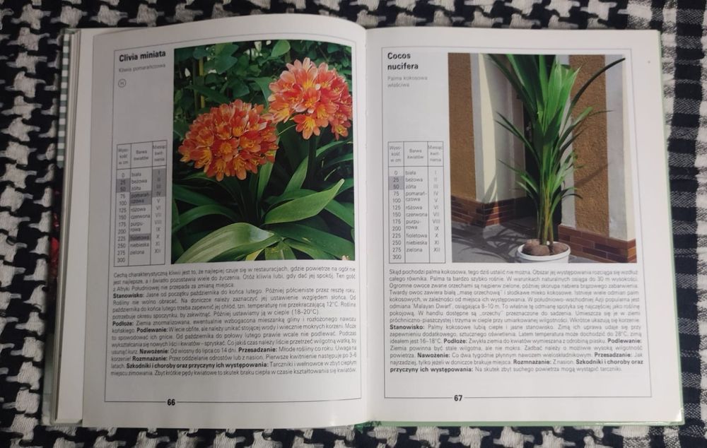 Halina Heitz / Andrea Kögel - 200 najpiękniejszych roślin doniczkowych