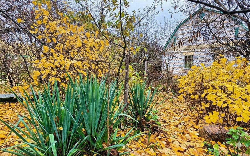 Продам вінтажний будиночок 77кв.м+17 соток з виходом до озера.