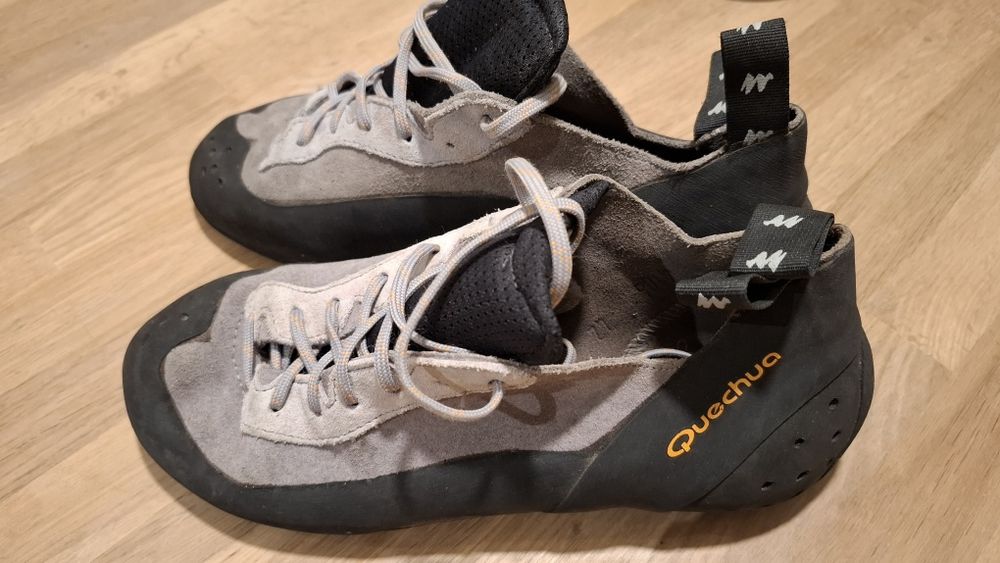 Pés de gato número 42