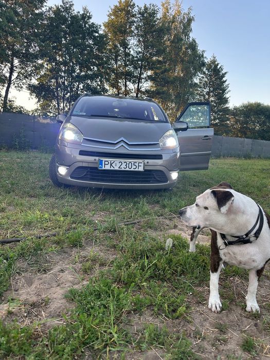 Citroën C4 Picasso Citroen C4 Grand Picasso z niezawodnym silnikiem 2.0 hdi prywatne