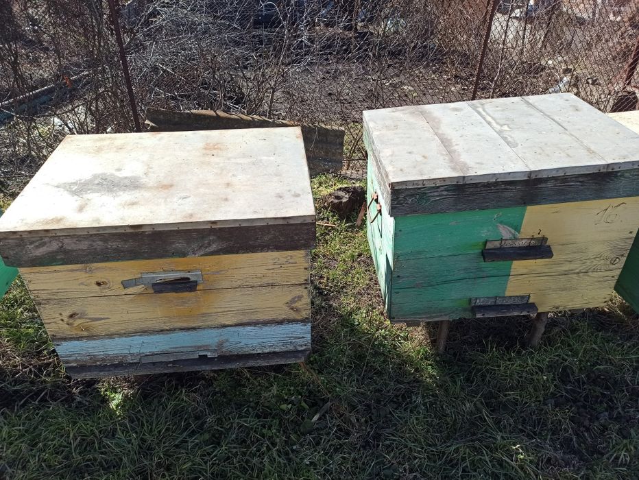 Продам ульи в количестве 18 шт.