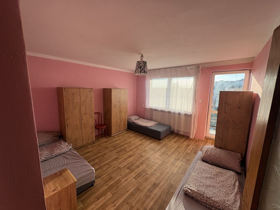 dom hostel całość na wynajem