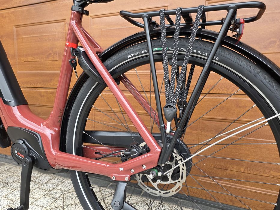 Rower Elektryczny Batavus Altura Performance Line SMART