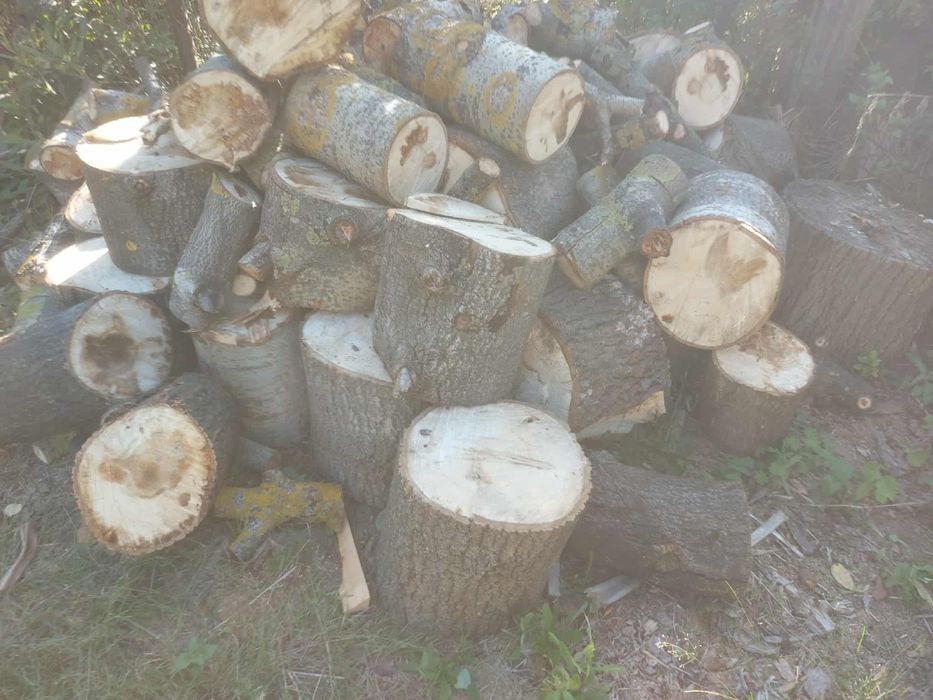 drewno opałowe Topola Transport GRATIS