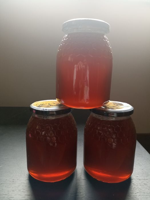 Venda de Mel Multifloral