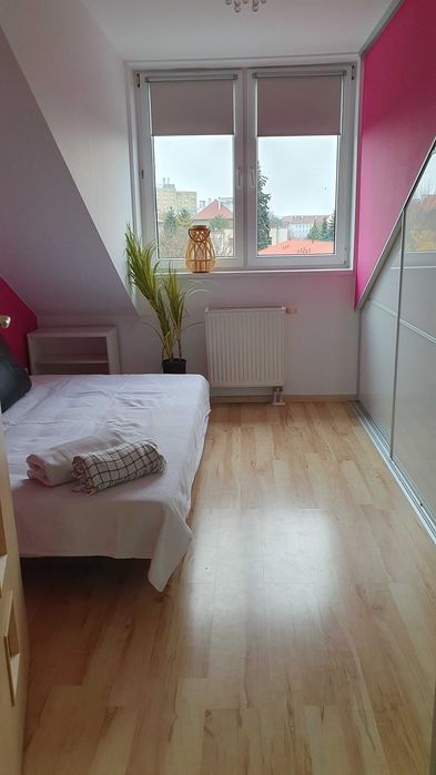 Słoneczne mieszkanie 3 pokojowe na wynajem - Więcej