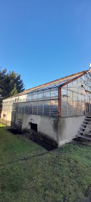 Stalowa konstrukcja szklarni+mnożarka