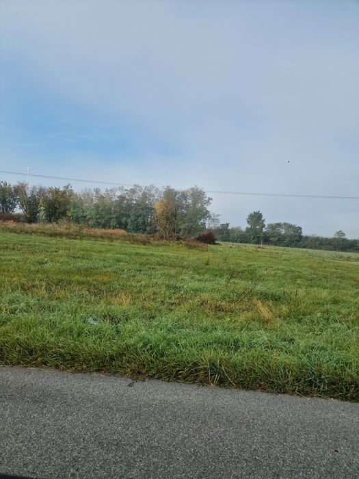 Sprzedam Działkę 3000 mk gmina Grójec z WZ - Widok 4