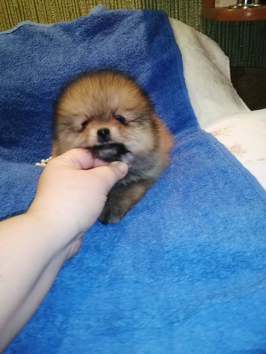 Парень просто позитив