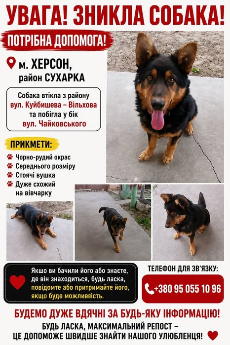 Пожалуйста помогите найти любимого питомца!