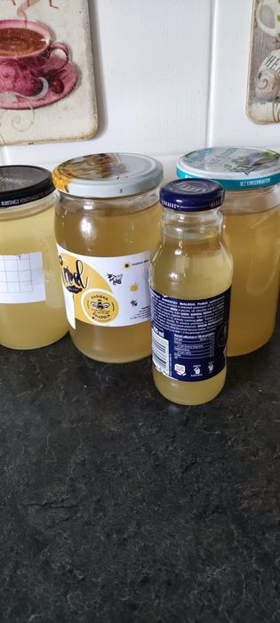 Syrop z kwiatów czarnego bzu