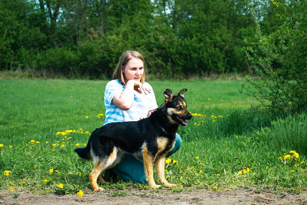 Limka - śliczna , młoda sunia