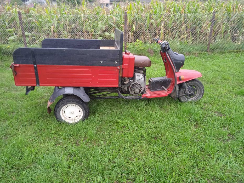 Муравей  з документами все перебране