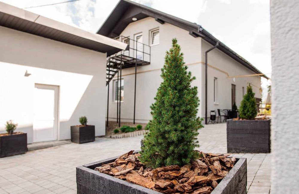 Пропонуємо житло подобово