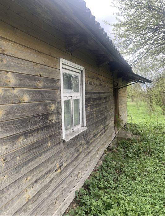 Działka siedlisko 0,5ha Kuraszewo kolo Hajnowki - Widok 5