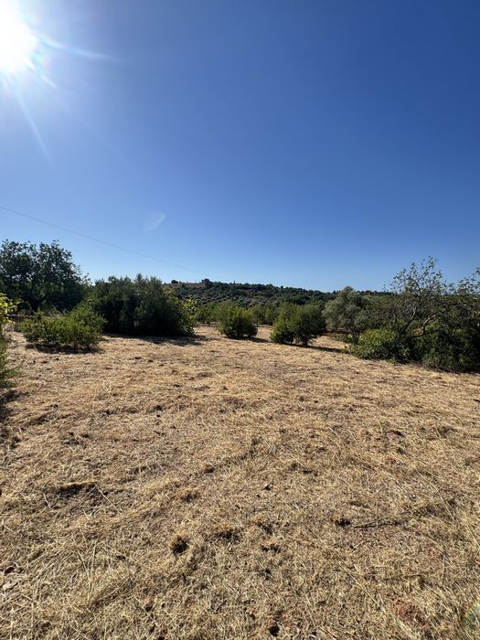 Terreno rustico em Moncarapacho
