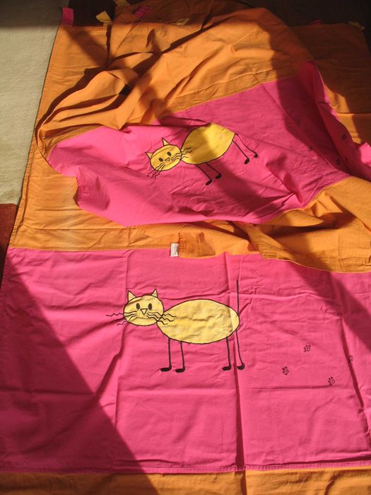 Utilitários para casa gato preto