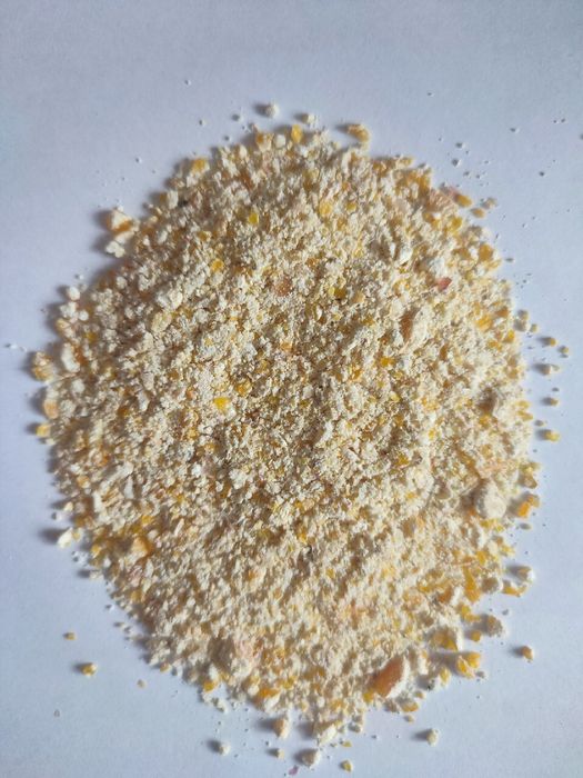 Kukurydza sucha workowania big bag mielona luz wysyłka