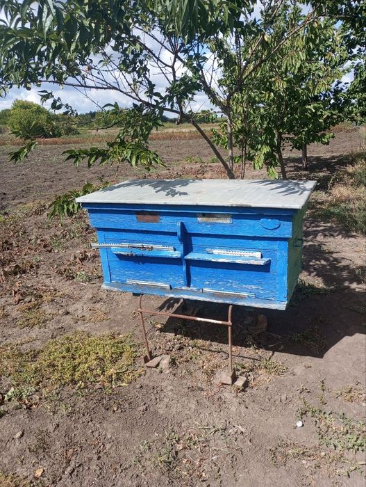 Продам вулики з бджолами. Бджолосім'ї