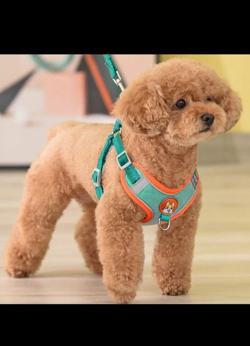 Повідки для тварин