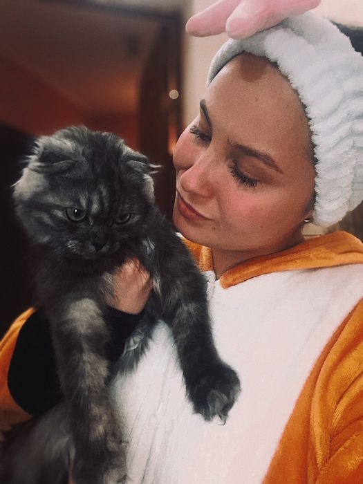 Кошечка ищет кота для вязки. Очень срочно!!!