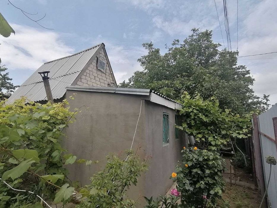 Дача возле леса Алтестово