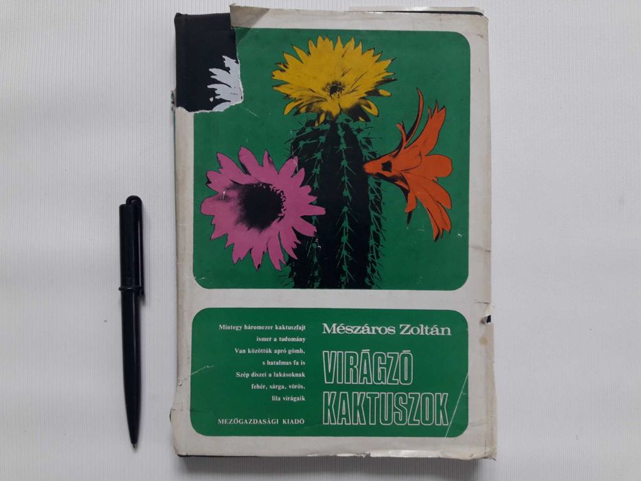 Цветущий кактус. На венгерском языке.