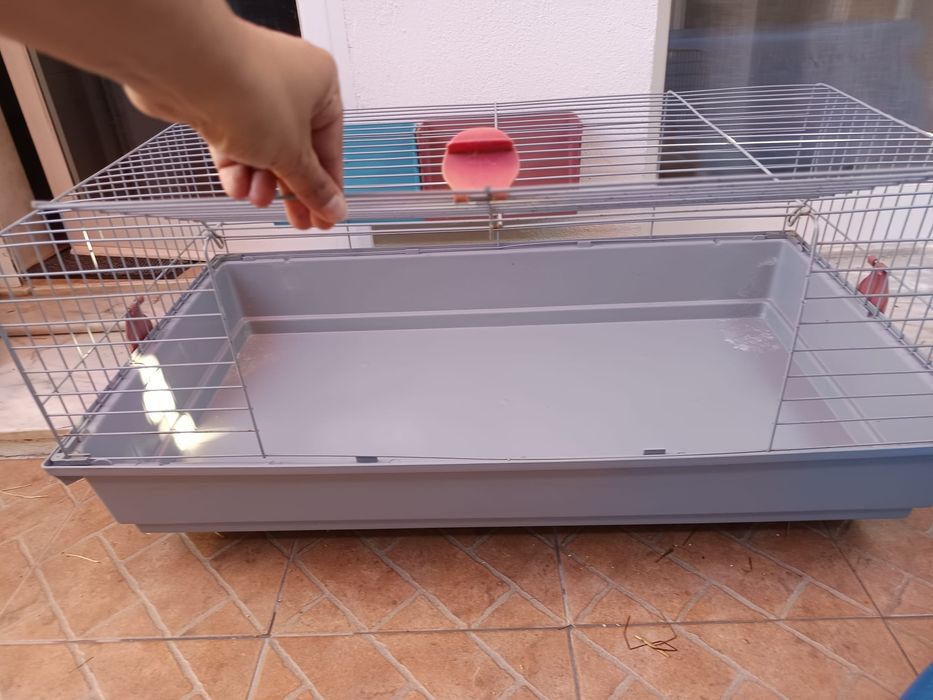Artigos  animais
- pequena gaiola pássaro 
- mala de transporte coelho
- casa de "férias" coelho

Interessados enviar mensagem privada sff.
Obrigada