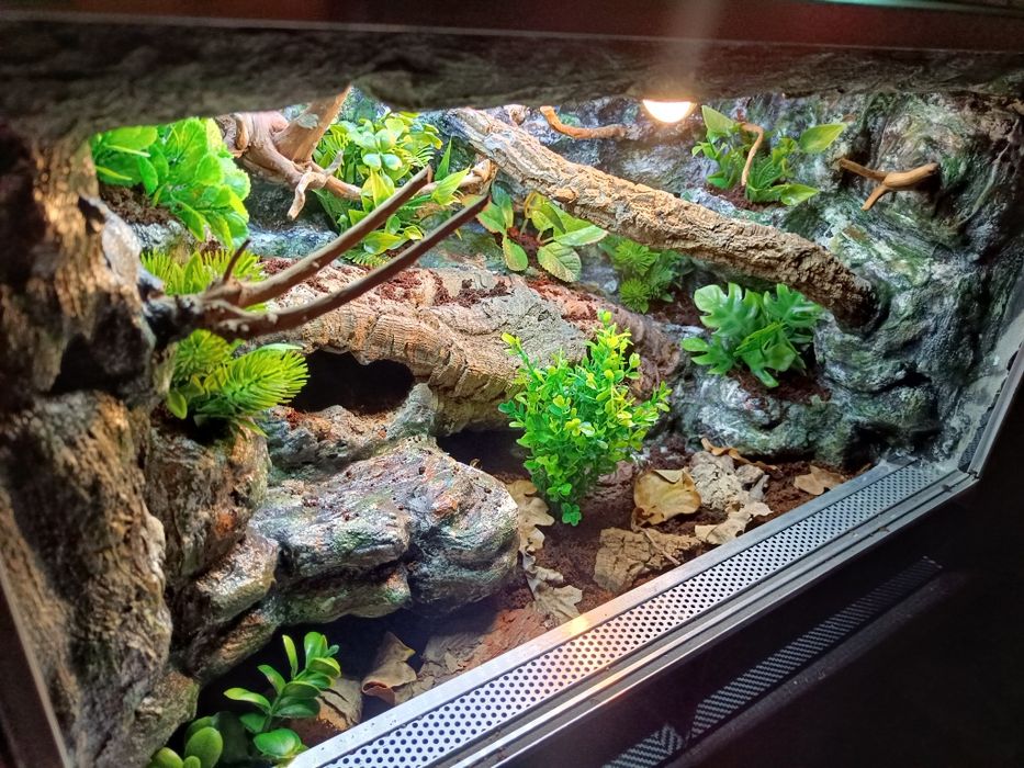 Terrarium tropikalne dla gekon 60x40x40
