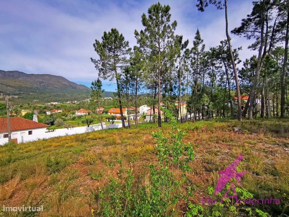 Terreno em Nogueira com vista desafogada