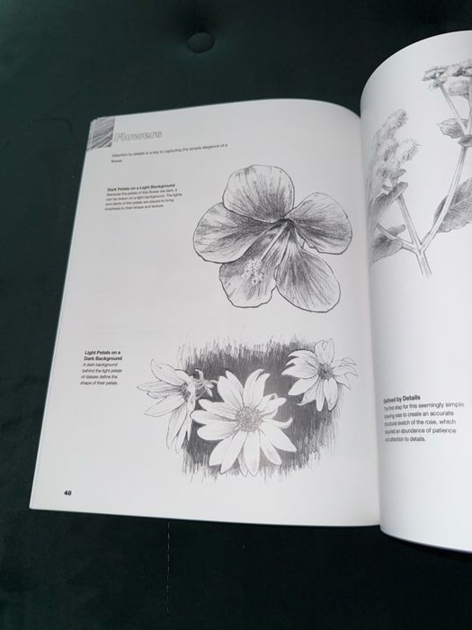 Drawing nature for the absolute beginner Willenbrink